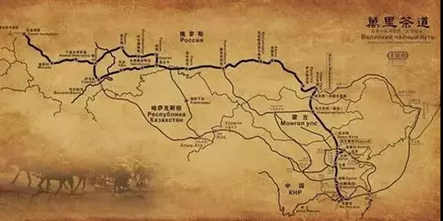 中国茶的四十年