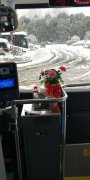 迎战冰雪丨暖暖的坐垫、暖暖的姜茶，粉红色鲜花，长沙的公交车好温暖！