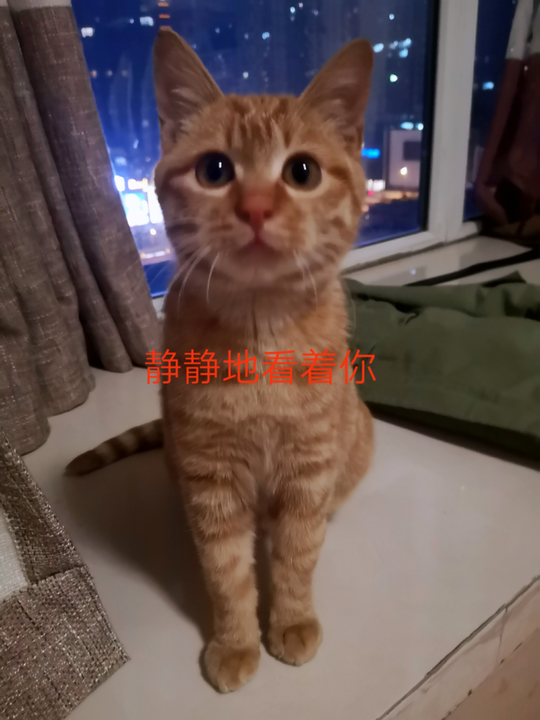 腊肉能带吗？酒能带吗？ 春节回家坐火车一定要看过来