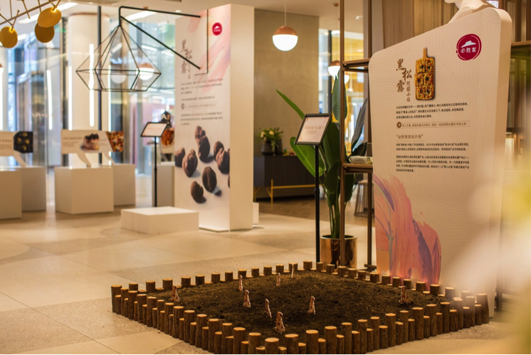 引领慢食主义新“食尚” 沪上必胜客发布2019春季新菜单